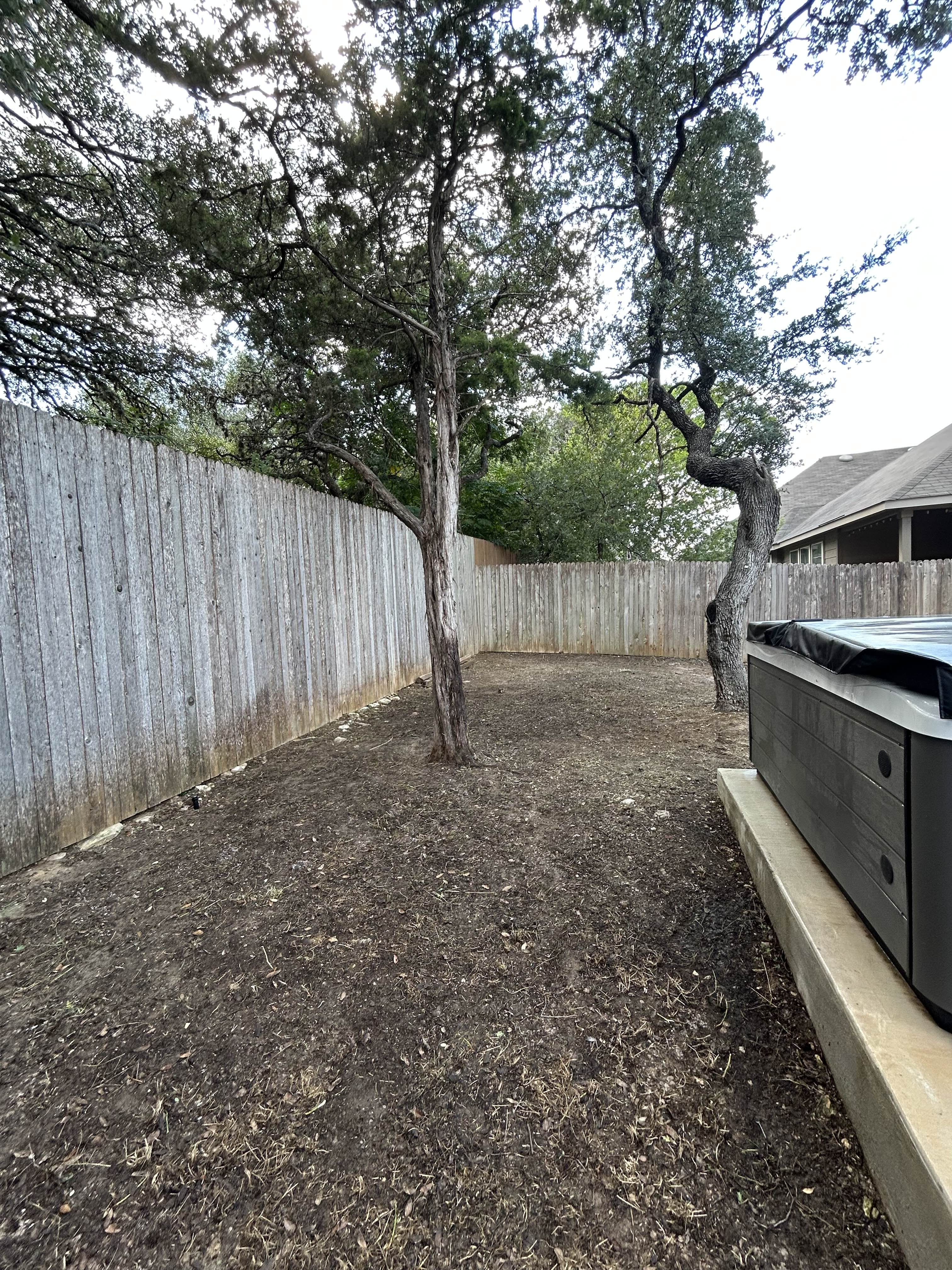 After land clearing