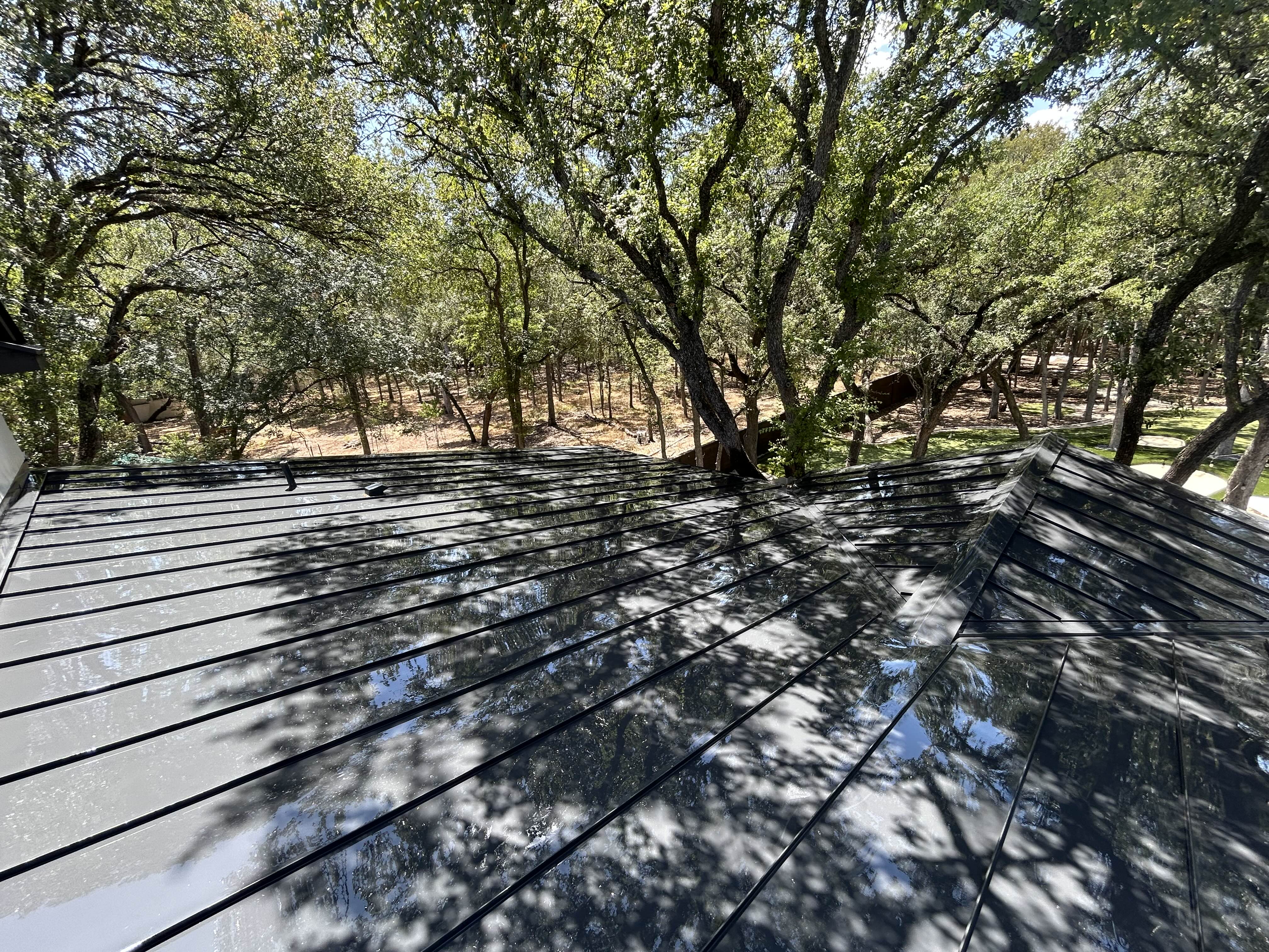 Roof Cleaning