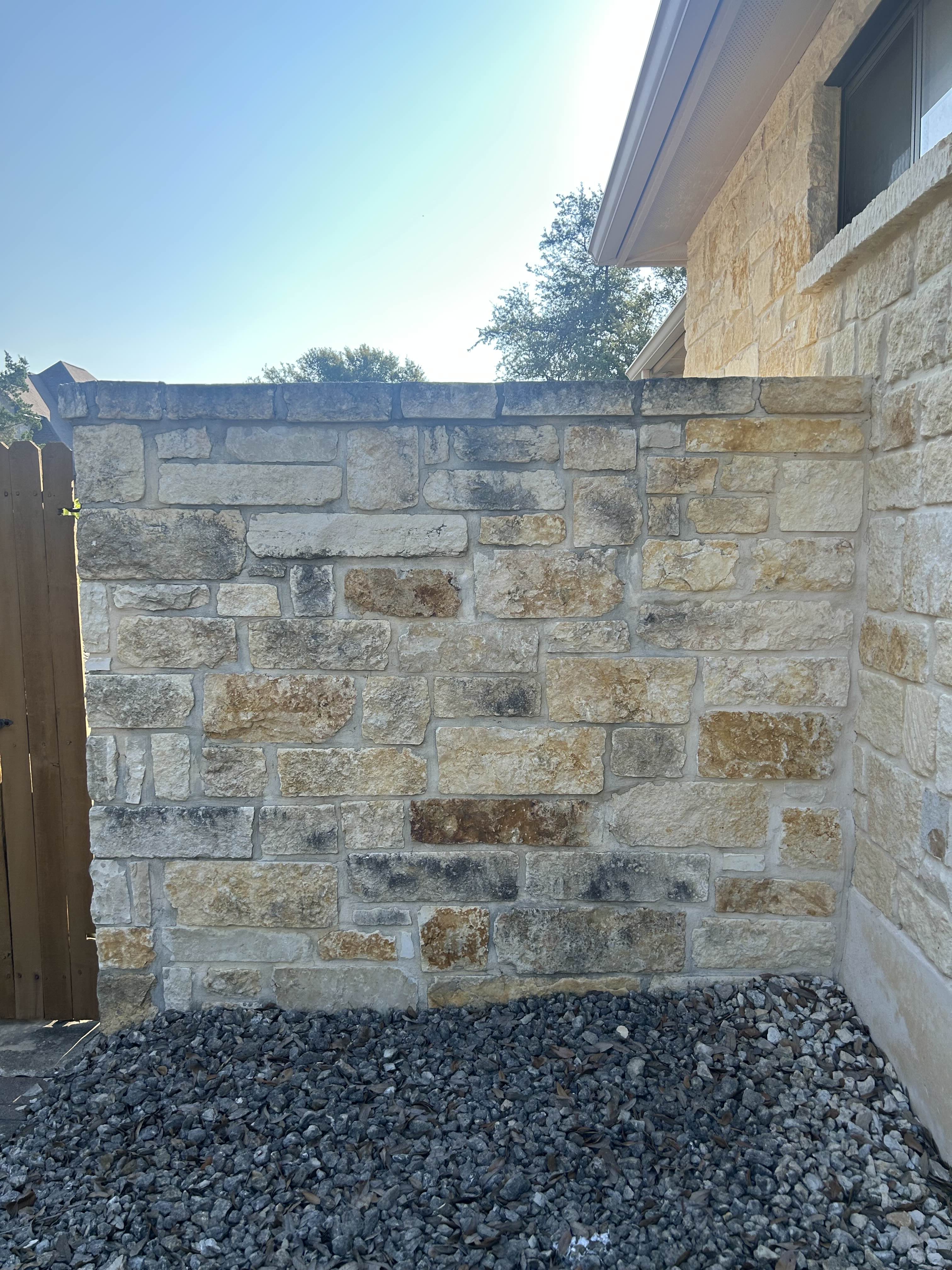 Before fence cleaning