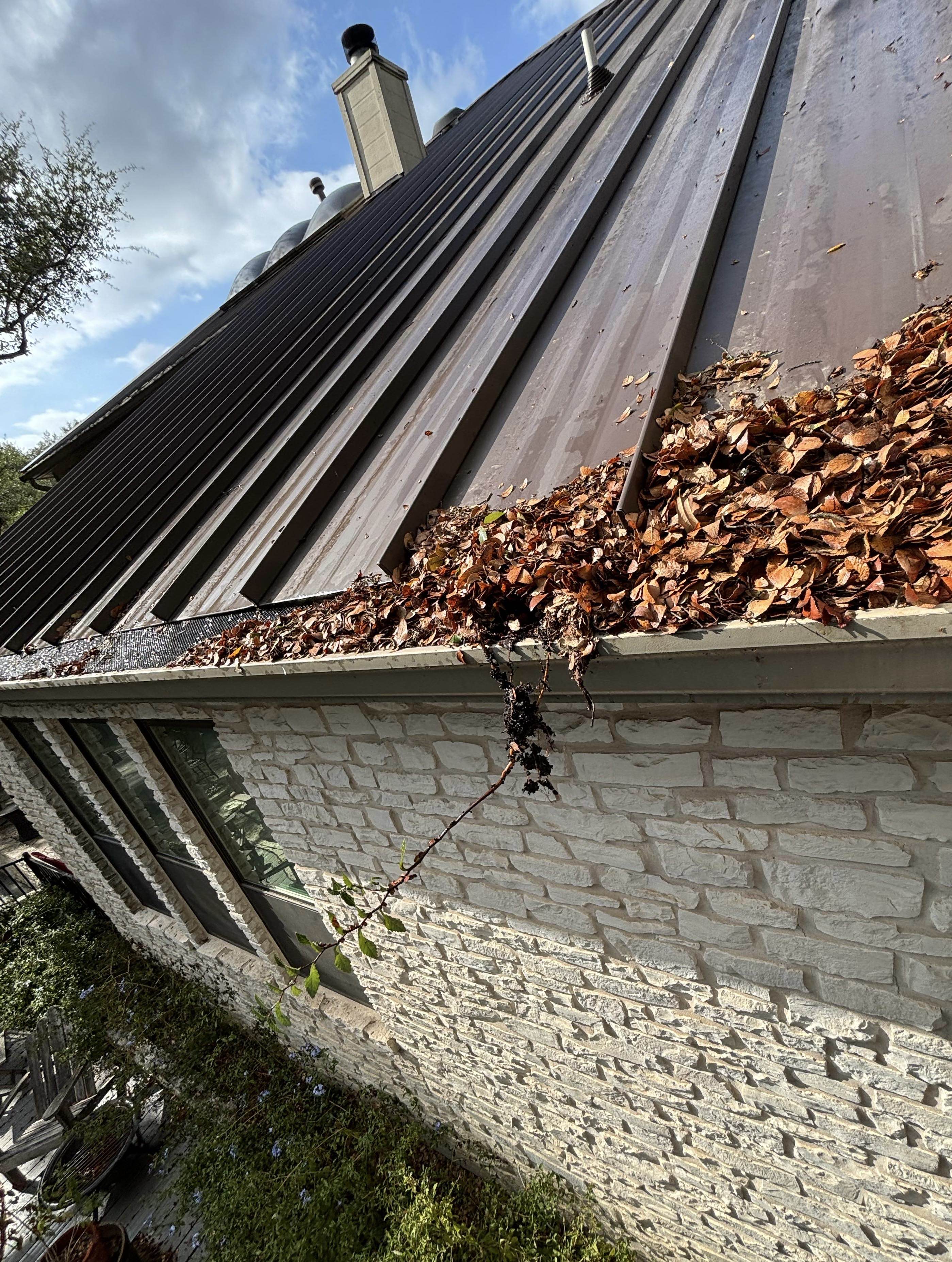 Before gutter cleaning