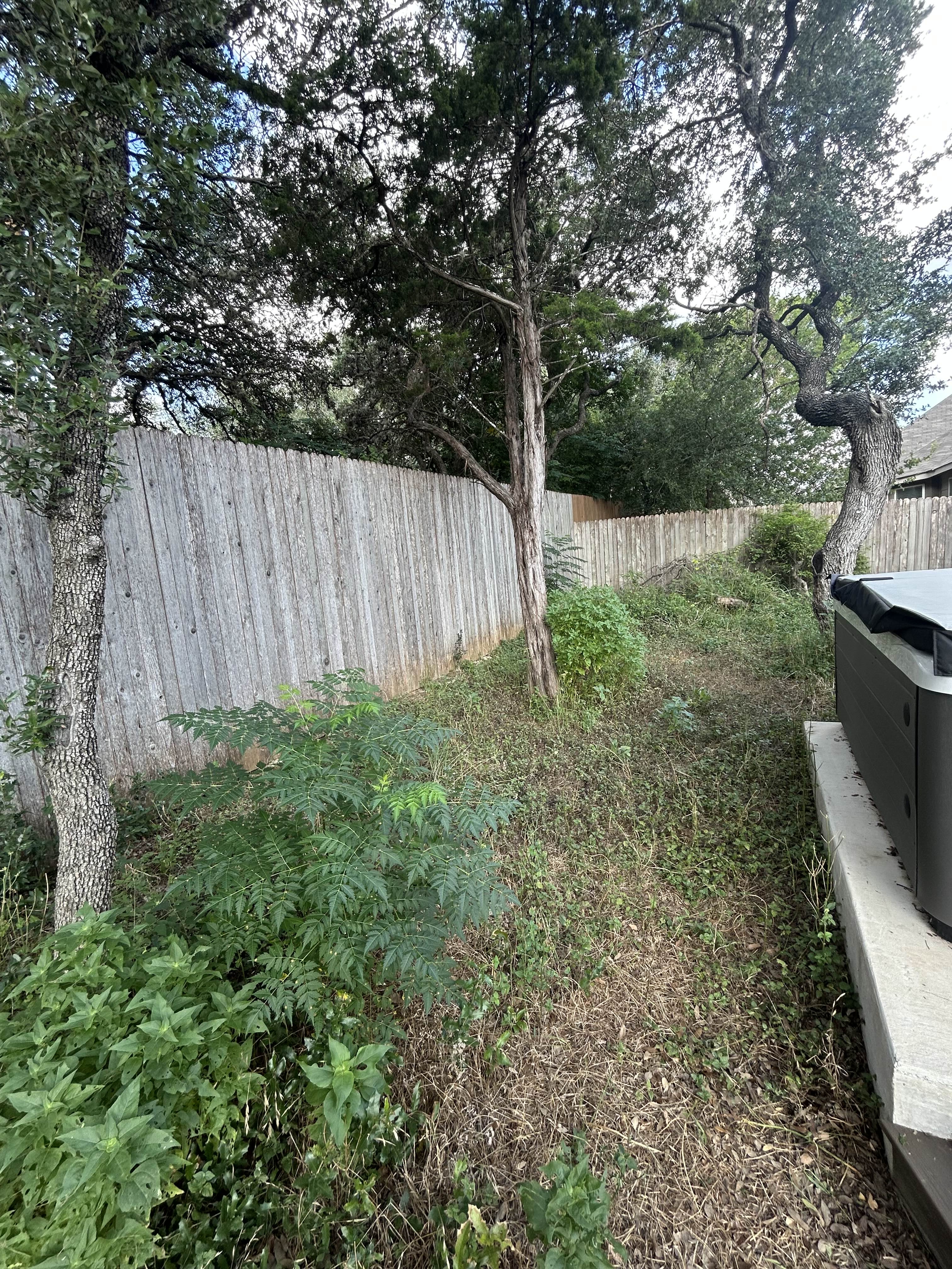 Before land clearing