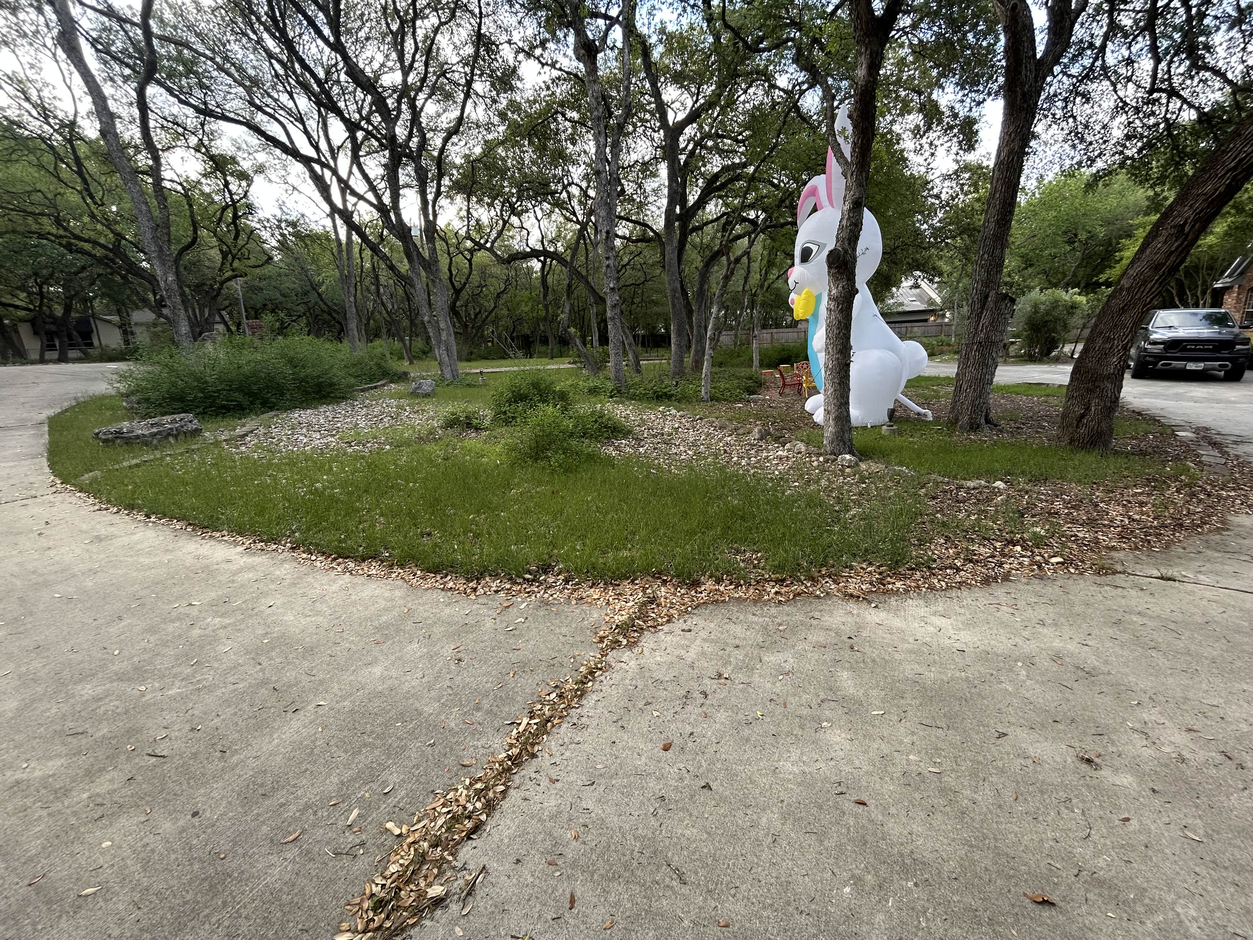 Before mulch installation